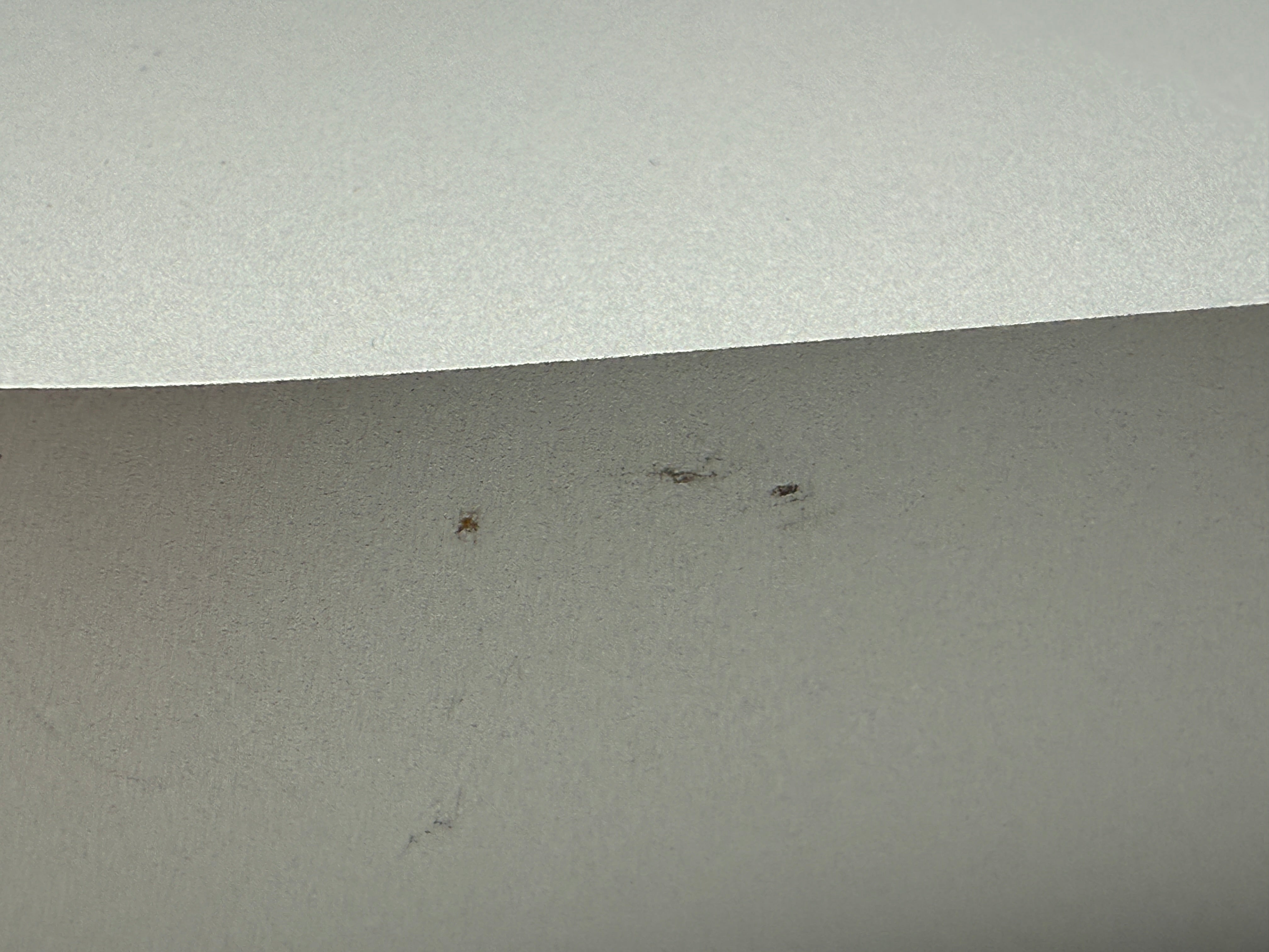 Apple Mac Mini M1 A2348 Gehäuse Housing Silber original Pulled