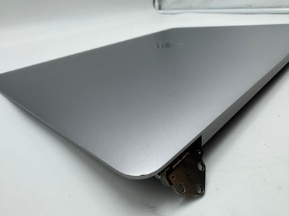 MacBook Pro 15" 2018 2019 A1990 Grau Display Retina original Bildschirm #D956