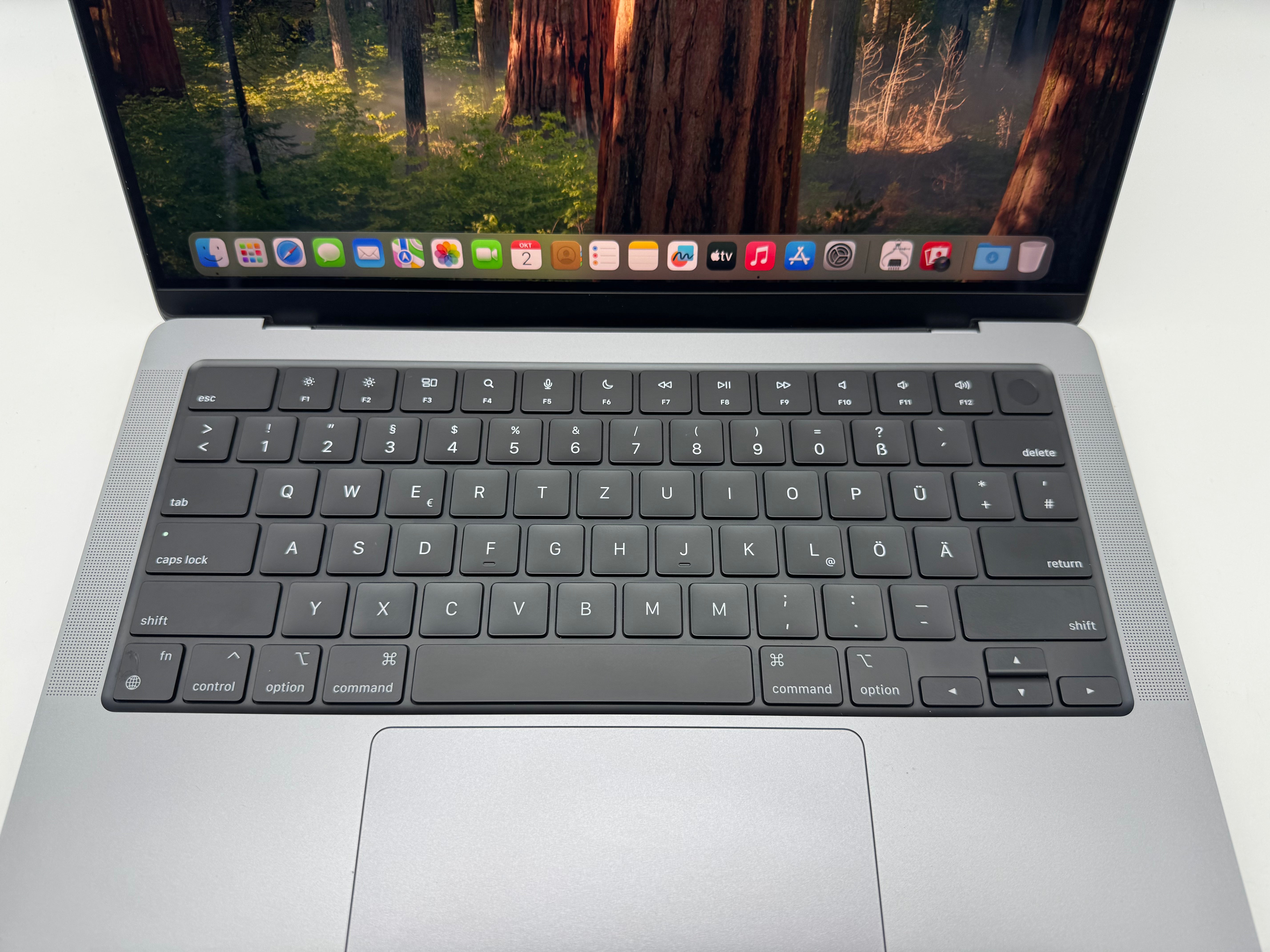 Macbook Pro 14" A2442 2021 M1 Pro 32GB 1TB 16C Spacegrau MwSt. #PS358