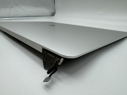 Macbook Pro 16" 2019 A2141 Display Bildschirm Silber #D558