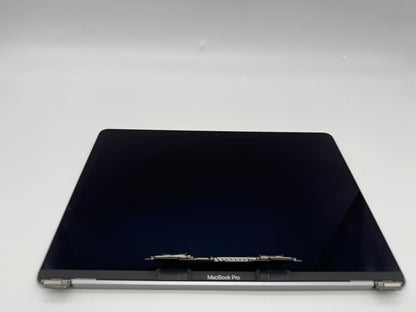 Macbook Pro 13" A1989 A2159 A2251 A2289 2018 2019 2020 Display Retina Grau #D701