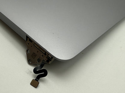 Original Macbook Pro 16" 2019 A2141 Display Bildschirm Grau Spacegrau #D919