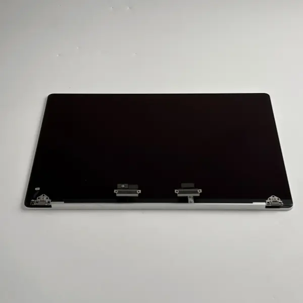 Macbook Pro 16" A2485 A2780 A2991 Display Bildschirm Silber B