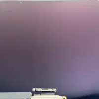 Macbook Pro 13" A1989 A2159 A2251 A2289 Display...