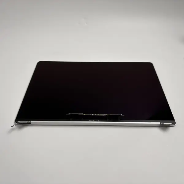Apple MacBook Pro 16" A2141 2019 Display Bildschirm Silber