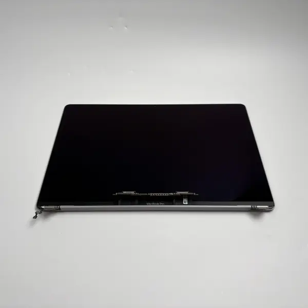 Apple MacBook Pro 16" A2141 2019 Display Bildschirm Spacegrau B