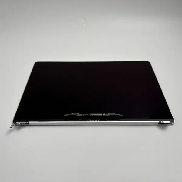 Apple MacBook Pro 16" A2141 2019 Display Bildschirm Silber C