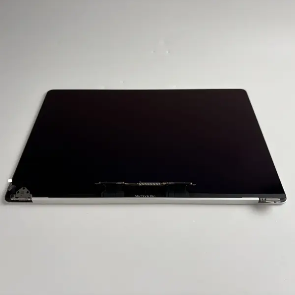 Apple MacBook Pro 16" A2141 2019 Display Bildschirm Silber D